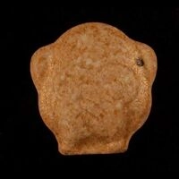 https://www.saferparty.ch/warnungen/three-wise-monkeys-no-speak-mdma-310822-l2290