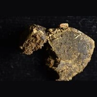 https://www.saferparty.ch/warnungen/haschisch-mit-synthetischem-cannabinoid-199-1655