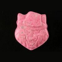 https://www.saferparty.ch/warnungen/raubkatze-mit-hut-mdma-25450