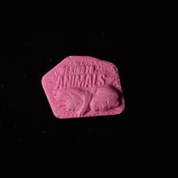 https://www.saferparty.ch/warnungen/be-kind-to-animals-mdma-2-270225