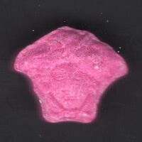 https://energycontrol.org/tabla-de-pastillas/