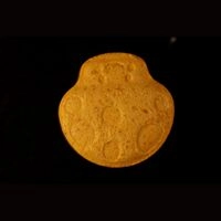 https://www.saferparty.ch/warnungen/toad-mdma-l2645