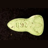 https://www.saferparty.ch/warnungen/nasa-2cb-2c-b-l2630