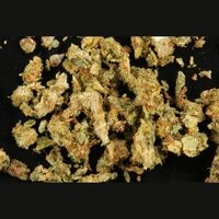 https://www.saferparty.ch/warnungen/cannabis-mit-synthetischen-cannabinoiden-c1986