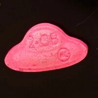 https://drugchecking.berlin/aktuelle-warnungen