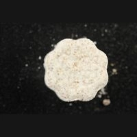 https://www.saferparty.ch/warnungen/chupa-chups-mdma-25051