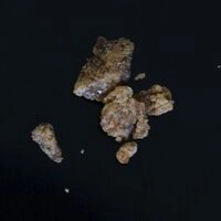 https://drugchecking.berlin/aktuelle-warnungen