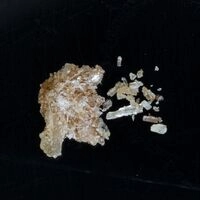 https://drugchecking.berlin/aktuelle-warnungen