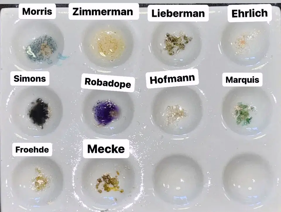 2C-B reagent test kit results (source:Reddit)
