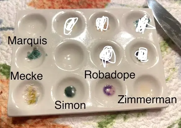 2C-B reagent test kit results (source:Reddit)