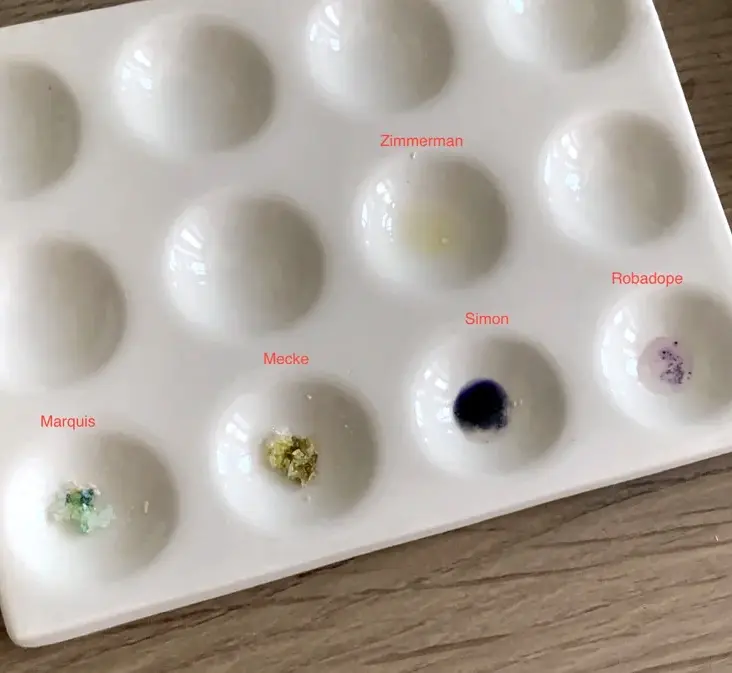 2C-B reagent test kit results (source:Reddit)