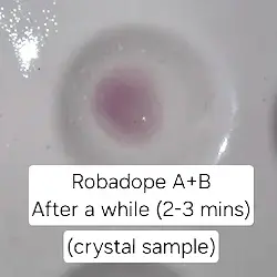Amphetamine Robadope reagent test kit result