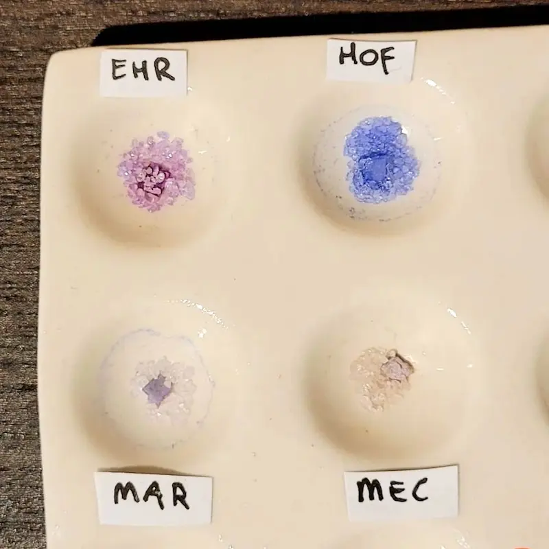 LSD reagent test kit results