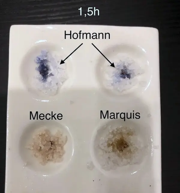 LSD reagent test kit results after 1.5 hour
