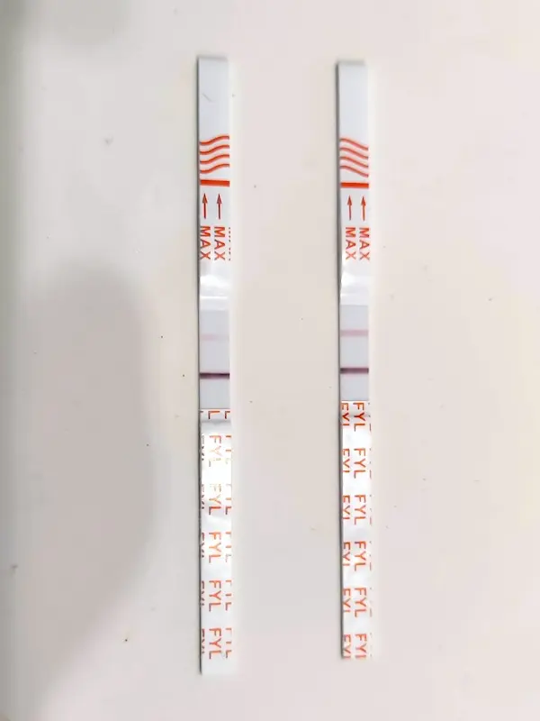 Negative fentanyl test strip results (no fentanyl)