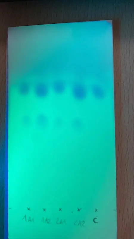 Amphetamine TLC test kit results (source:own)