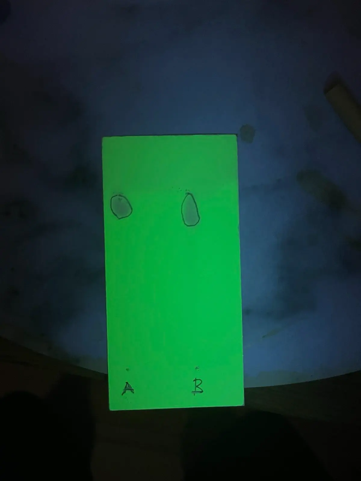 TLC test result of bunk cocaine (pure benzocaine)