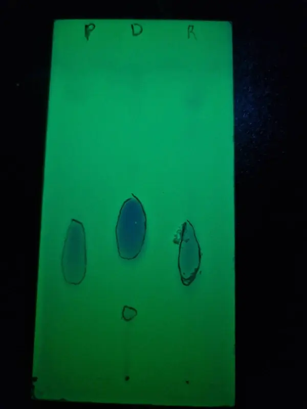 MDMA ● DMT ● NMT ● MDMA