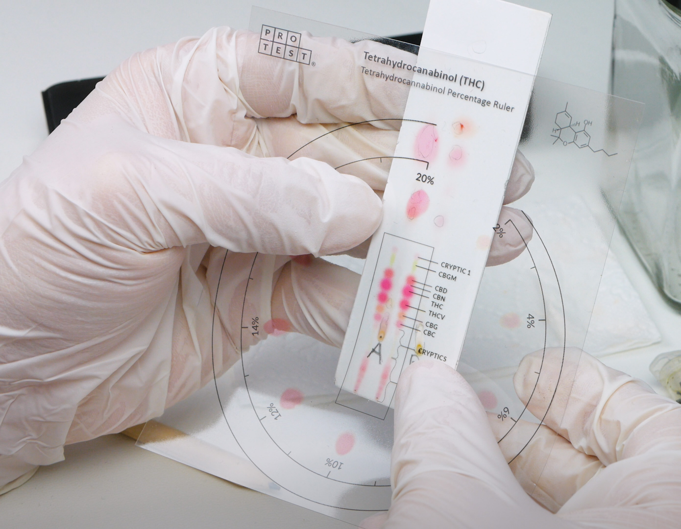 Medical cannabis potency test confirmed 20% of THC. Sample's source: medical strain Aurora, purchased in a pharmacy