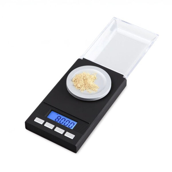 Precision scale (0.001-100g)