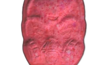 Anonymous pills (Ecstasy / MDMA)
