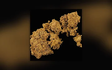 Drug Purity Report: Week 34, 2026