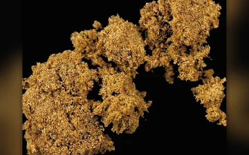 Haschisch Mit Synthethischen Cannabinoiden