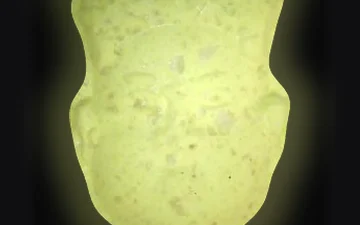 NL pills (Ecstasy / MDMA)