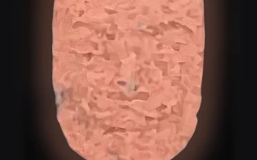 V De Vendetta pills (Ecstasy / MDMA)