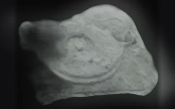 Tocadiscos pills (Ecstasy / MDMA)