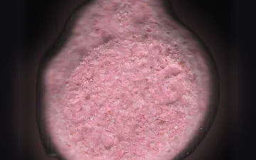 Burguer King pills (Ecstasy / MDMA)