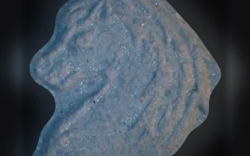 Pegasus pills (Ecstasy / MDMA)