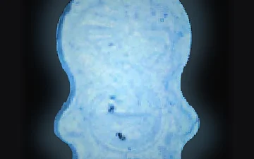 Doraemon pills (Ecstasy / MDMA)