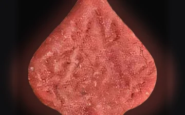 Pica pills (Ecstasy / MDMA)