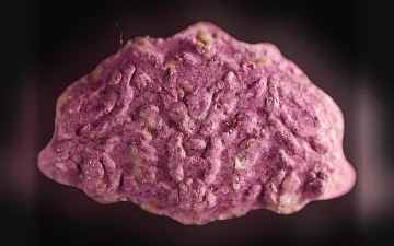 Skype pills (Ecstasy / MDMA)