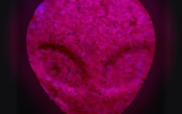 Alien pills