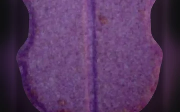 FC Barcelona pills (Ecstasy / MDMA)