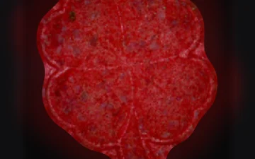 Four-Leaf Clover pills (Ecstasy / MDMA)