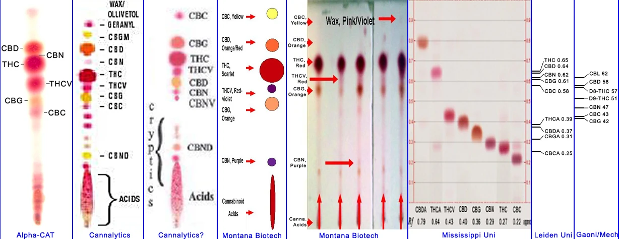 Eight published cannabinoid reference charts placed side by side. The left panels show developed cards and colour keys with CBD above THC and the acid forms at the bottom; the Mississippi panel puts CBDA at the top of the card and THC near the bottom; the Leiden panel lists THC 0.65 directly above CBD 0.64
