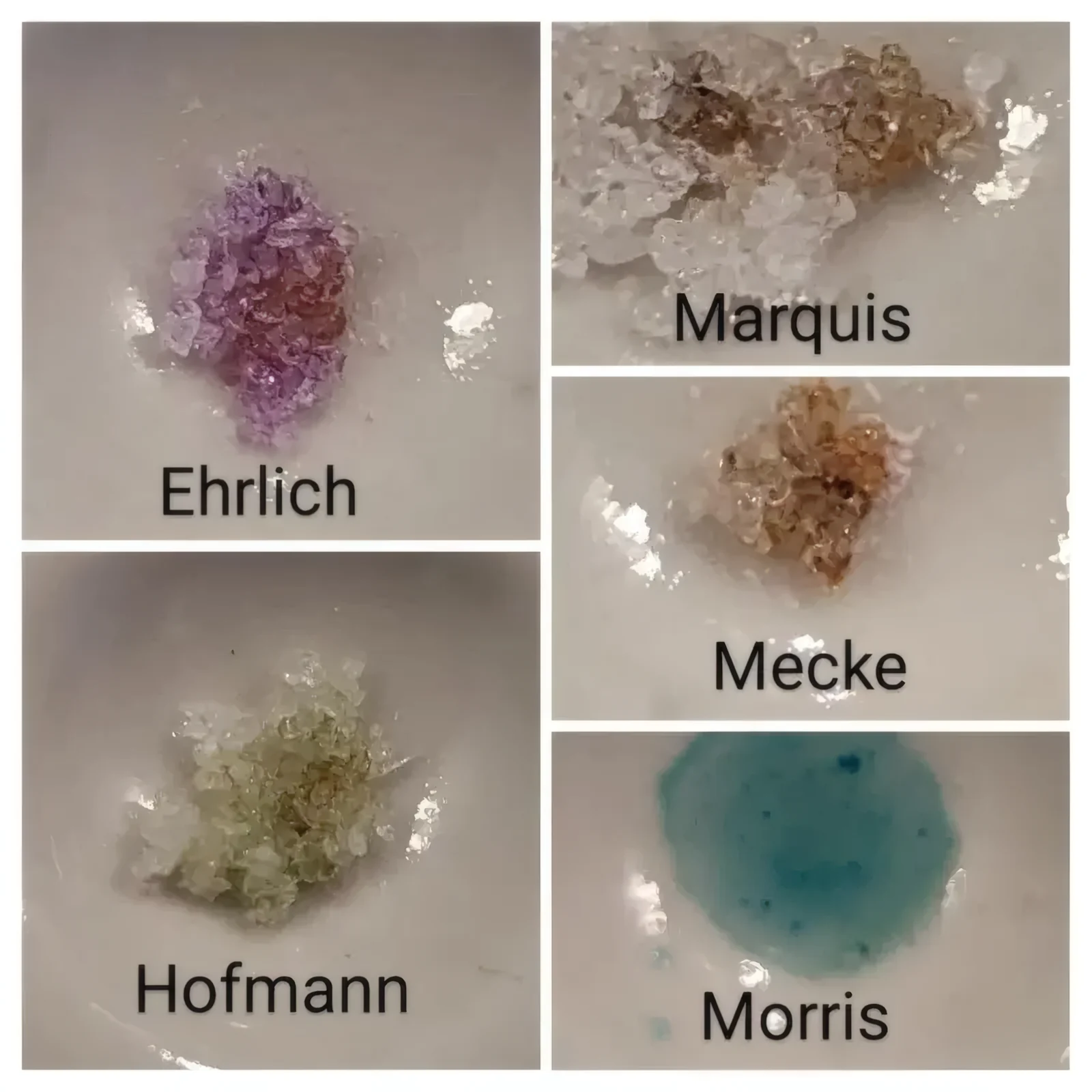 4-PrO-MET, 4-AcO-MET and 4-HO-MiPT: the new tryptamines