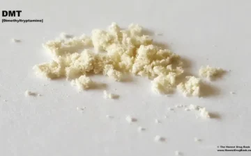 DMT powder