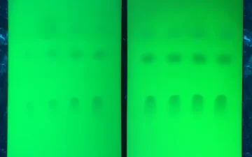 TLC testing cards under UV light