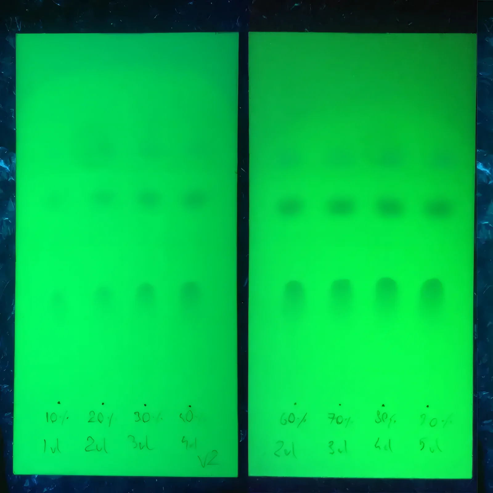 TLC testing cards under UV light