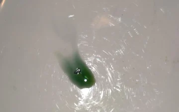 How to detect NBOMes?