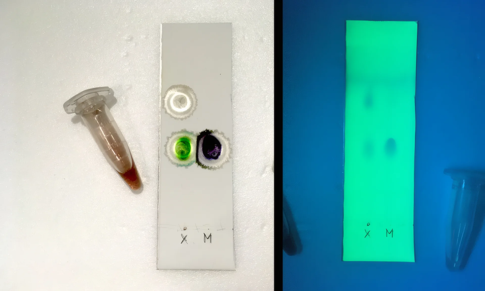 TLC testing card with a sample beside the reference