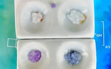 How to test LSD derivatives?