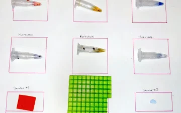Testing LSD gel tabs with Ehrlich and Hofmann reagents: colour chart
