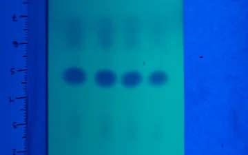 Purity test kits for Amphetamine, MMC and CMC