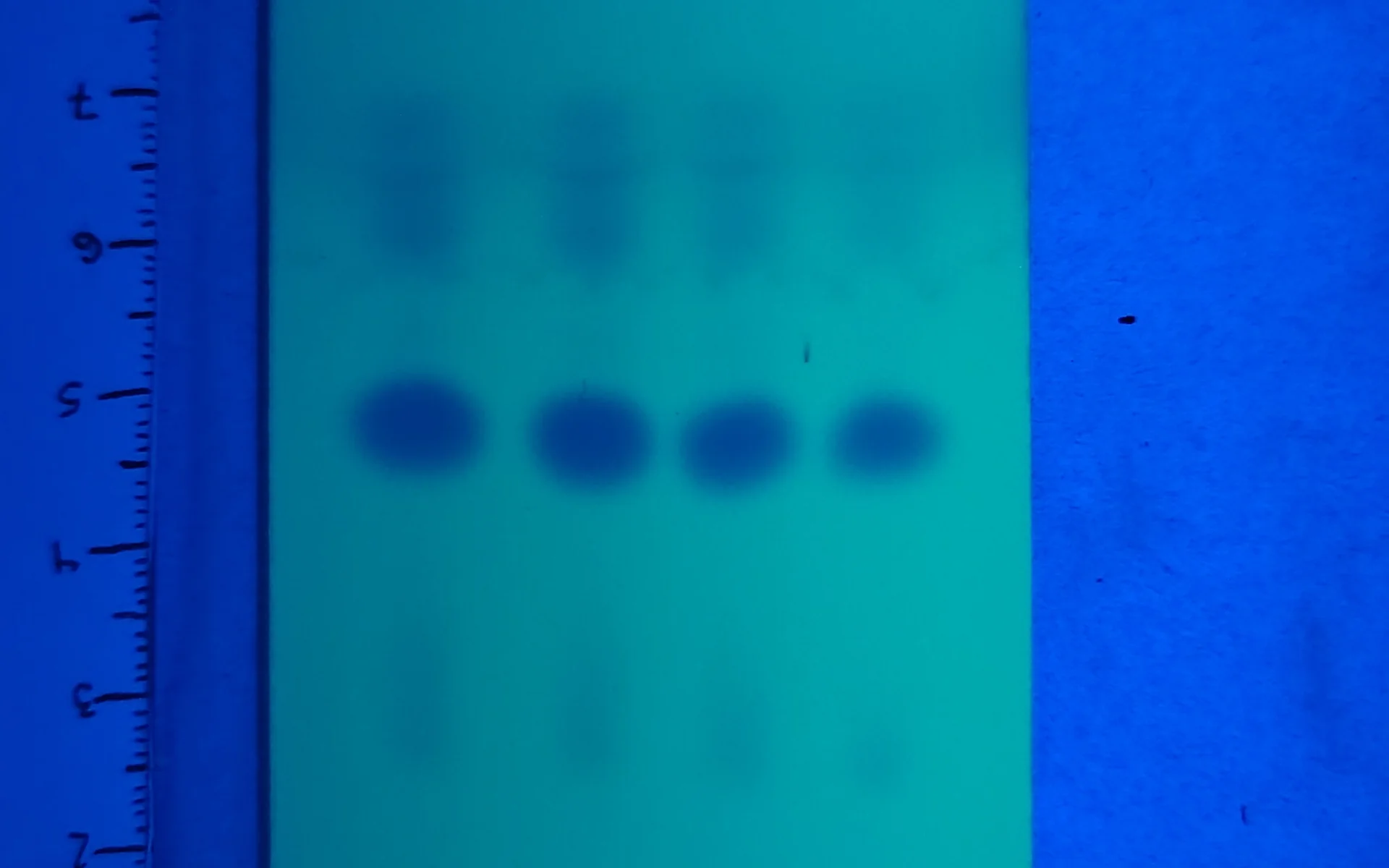 Purity test kits for Amphetamine, MMC and CMC
