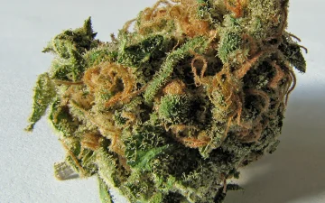What is THC?